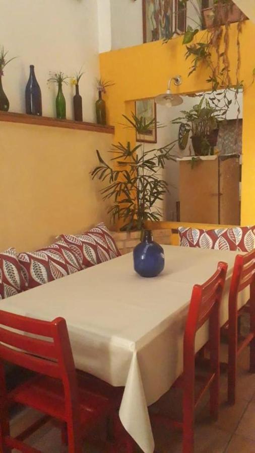 Pousada Flor Amarela Balneario Camboriu Dış mekan fotoğraf