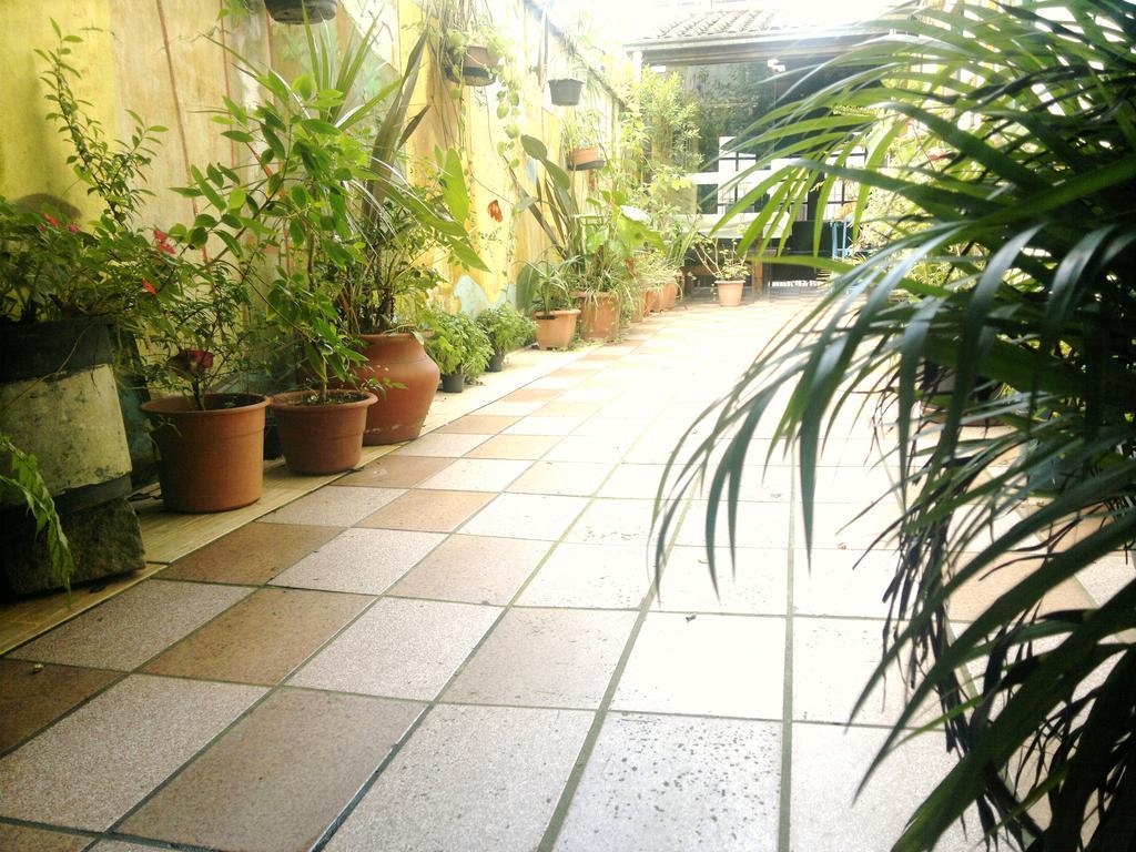 Pousada Flor Amarela Balneario Camboriu Dış mekan fotoğraf